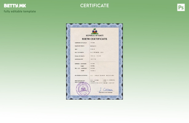 модерен стил на Хаити, шаблон за шаблон PSD од извод од матична книга на роденит